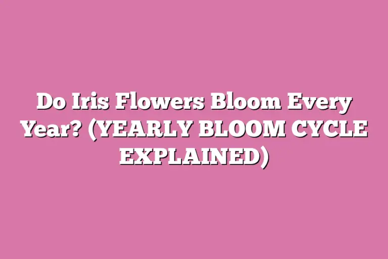 Do Iris Flowers Bloom Every Year? (YEARLY BLOOM CYCLE EXPLAINED