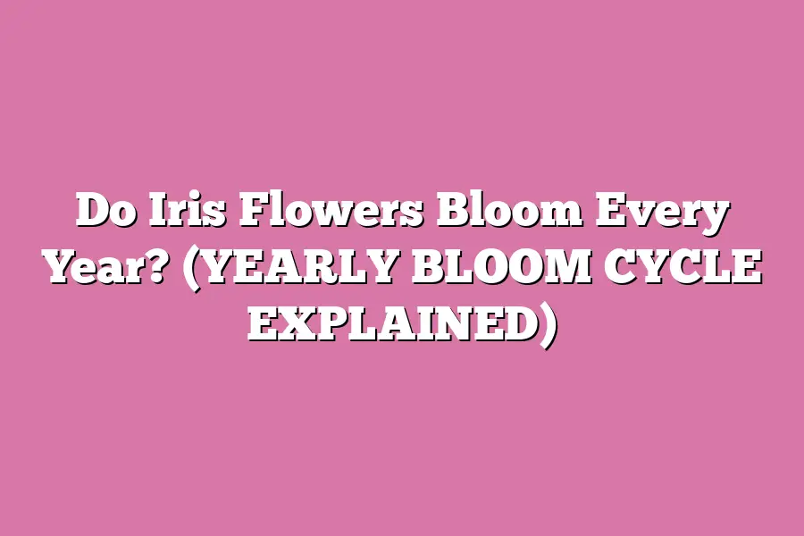 Do Iris Flowers Bloom Every Year? (YEARLY BLOOM CYCLE EXPLAINED)