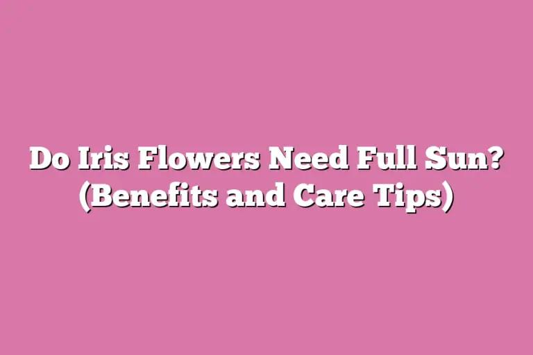 Do Iris Flowers Need Full Sun? (Benefits and Care Tips) Flower Pursuits