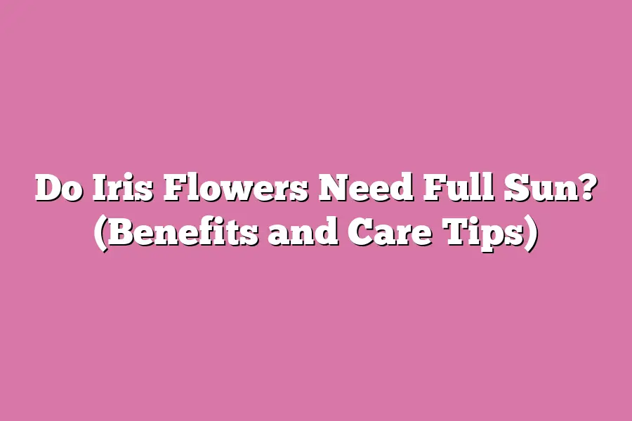 Do Iris Flowers Need Full Sun? (Benefits and Care Tips)