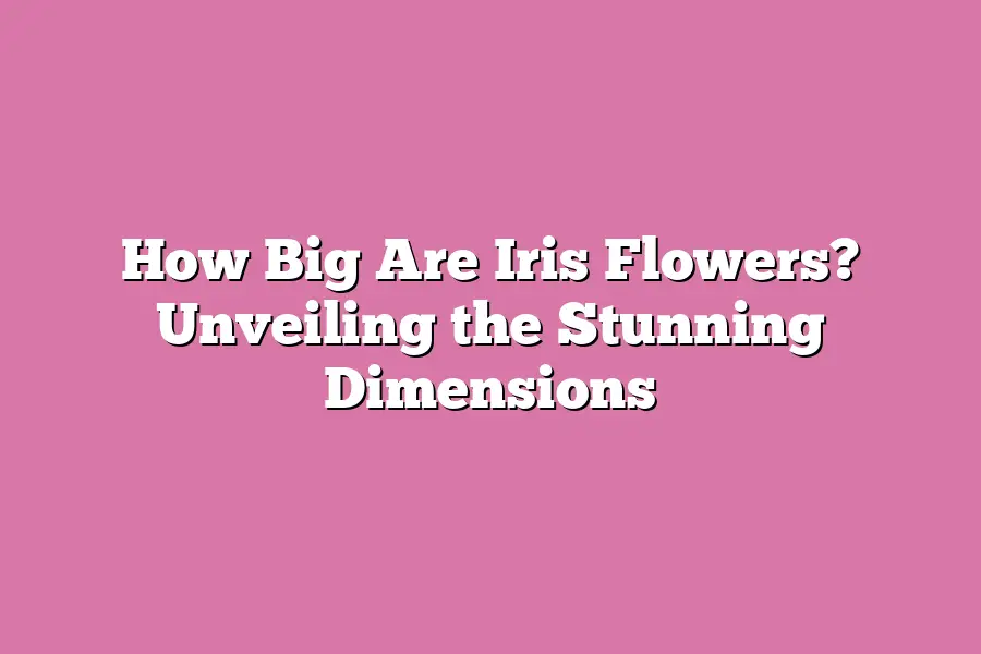 How Big Are Iris Flowers? Unveiling the Stunning Dimensions