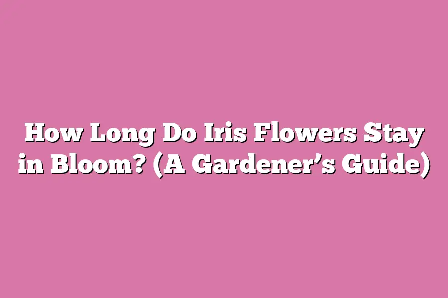 How Long Do Iris Flowers Stay in Bloom? (A Gardener’s Guide)