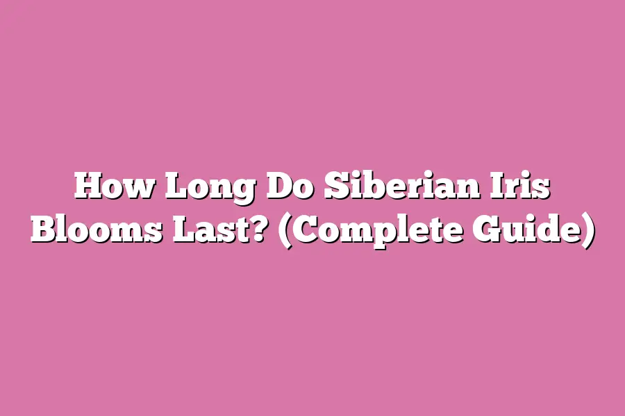 How Long Do Siberian Iris Blooms Last? (Complete Guide)