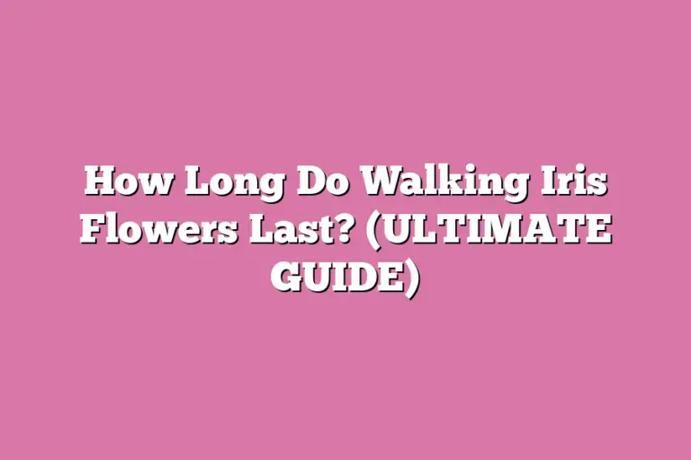 How Long Do Walking Iris Flowers Last? (ULTIMATE GUIDE) Flower Pursuits