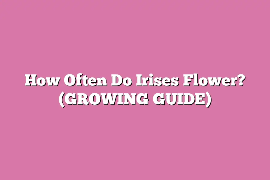 How Often Do Irises Flower? (GROWING GUIDE)