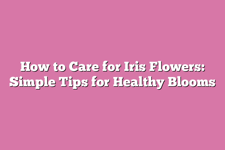 How to Care for Iris Flowers: Simple Tips for Healthy Blooms – Flower ...