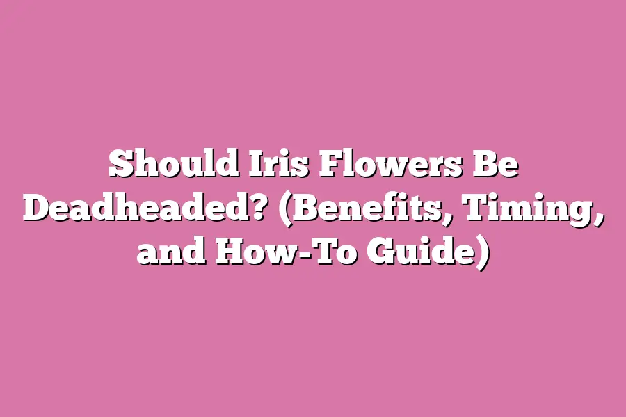Should Iris Flowers Be Deadheaded? (Benefits, Timing, and How-To Guide)