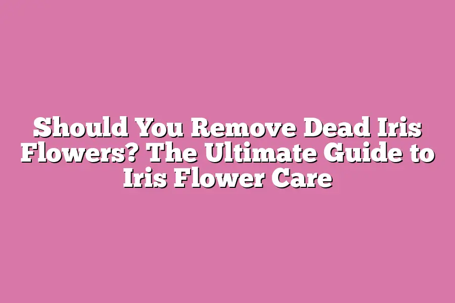 Should You Remove Dead Iris Flowers? The Ultimate Guide to Iris Flower Care