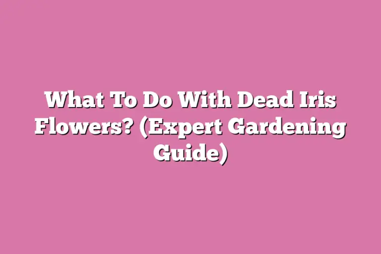 What To Do With Dead Iris Flowers? (Expert Gardening Guide) Flower