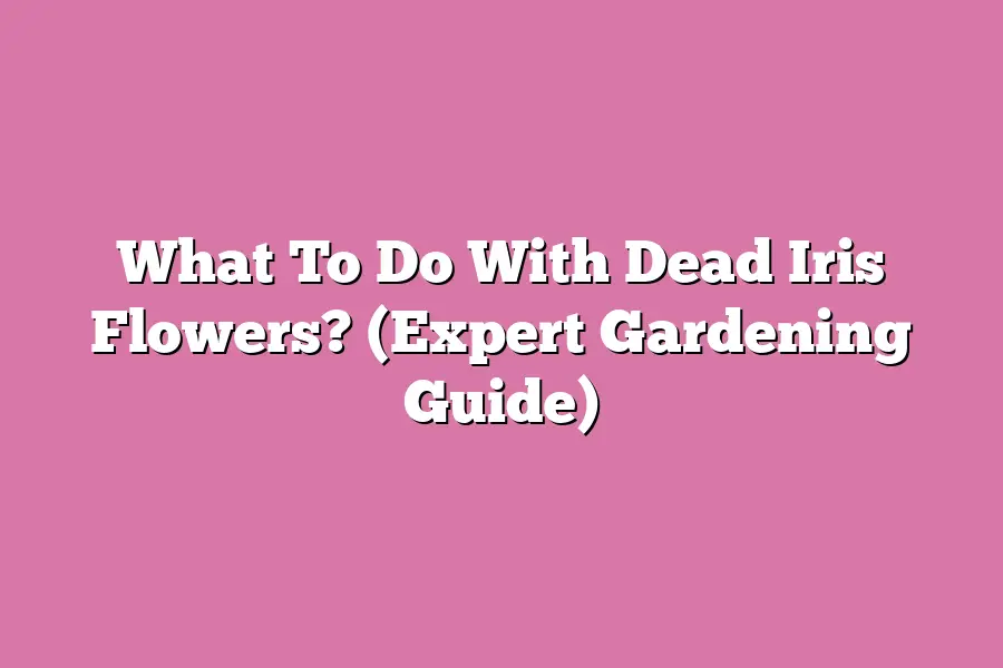 What To Do With Dead Iris Flowers? (Expert Gardening Guide)