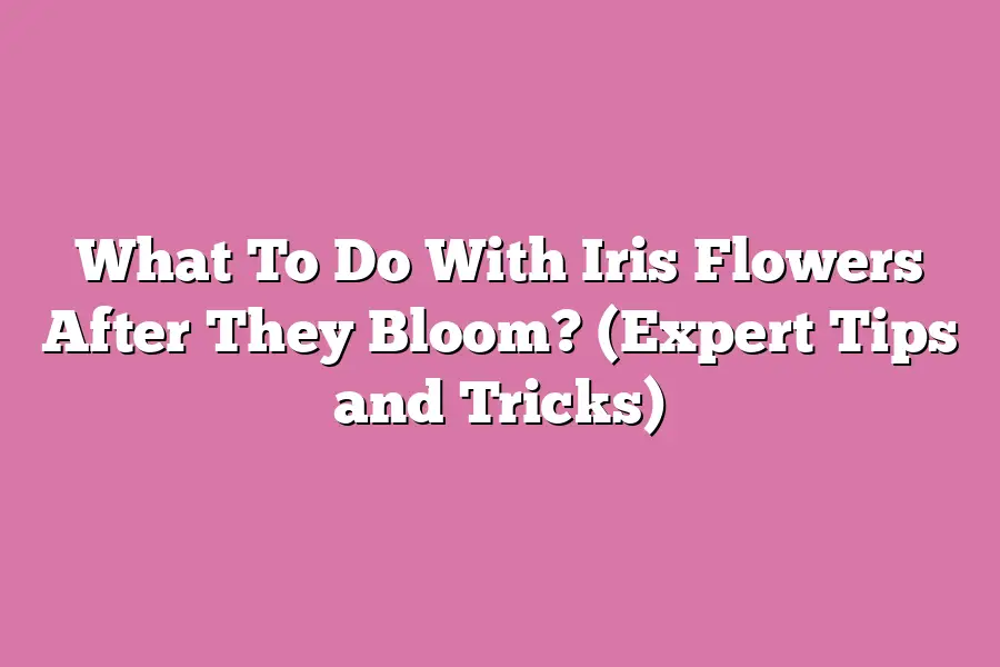What To Do With Iris Flowers After They Bloom? (Expert Tips and Tricks)