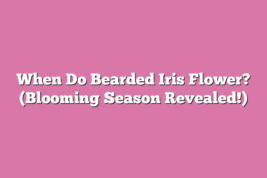 When Do Bearded Iris Flower? (Blooming Season Revealed!)