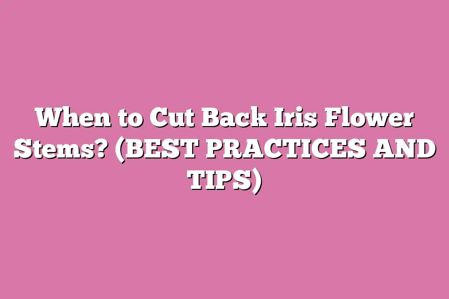 When to Cut Back Iris Flower Stems? (BEST PRACTICES AND TIPS)