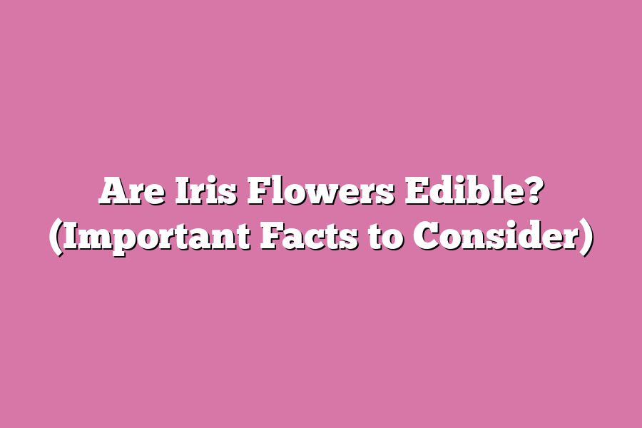 Are Iris Flowers Edible? (Important Facts to Consider)