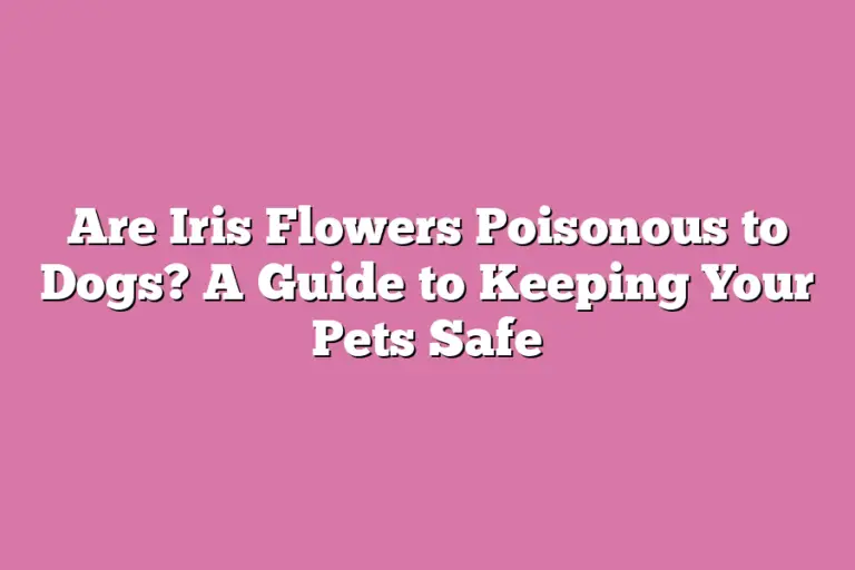Are Iris Flowers Poisonous to Dogs? A Guide to Keeping Your Pets Safe Flower Pursuits