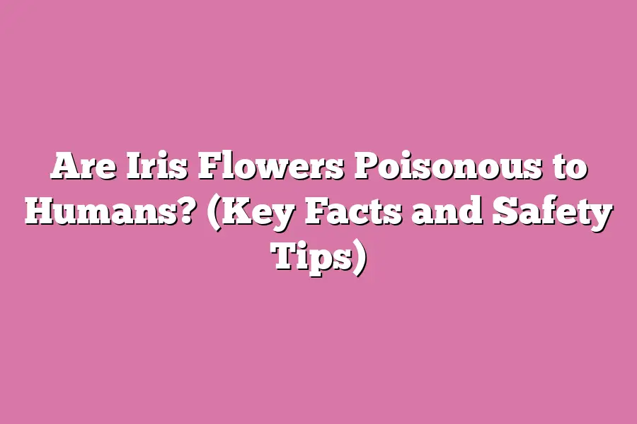 Are Iris Flowers Poisonous to Humans? (Key Facts and Safety Tips)