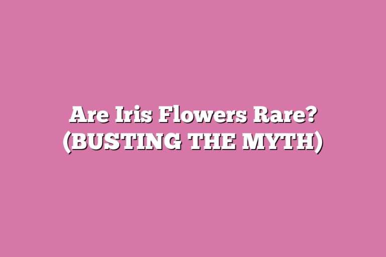 Are Iris Flowers Rare? (BUSTING THE MYTH) – Flower Pursuits