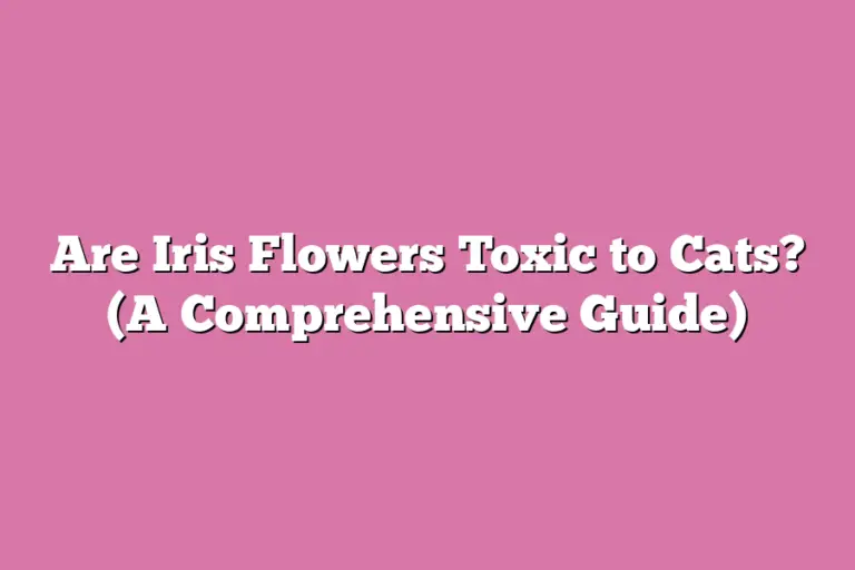 Are Iris Flowers Toxic to Cats? (A Comprehensive Guide) Flower Pursuits