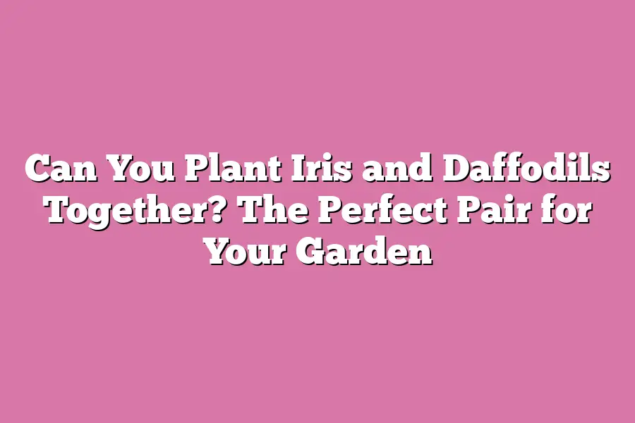 Can You Plant Iris and Daffodils Together? The Perfect Pair for Your Garden