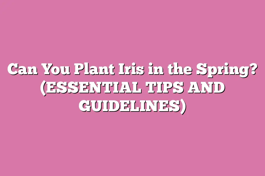 Can You Plant Iris in the Spring? (ESSENTIAL TIPS AND GUIDELINES)