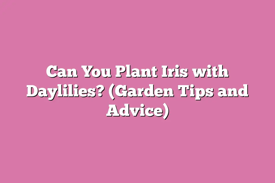 Can You Plant Iris with Daylilies? (Garden Tips and Advice)