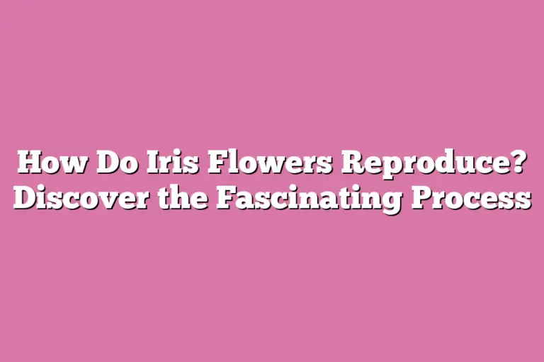 How Do Iris Flowers Reproduce? Discover the Fascinating Process ...