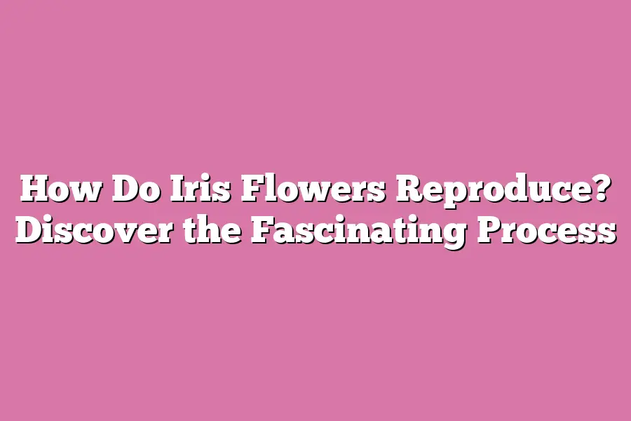 How Do Iris Flowers Reproduce? Discover the Fascinating Process