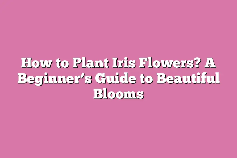 How to Plant Iris Flowers? A Beginner’s Guide to Beautiful Blooms