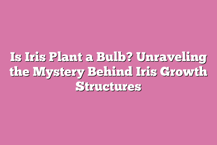 Is Iris Plant a Bulb? Unraveling the Mystery Behind Iris Growth Structures