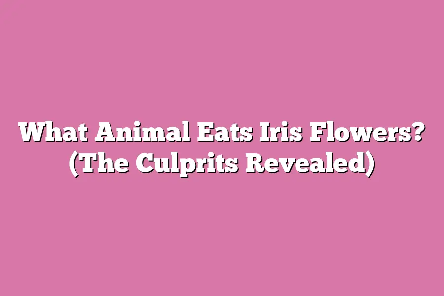 What Animal Eats Iris Flowers? (The Culprits Revealed)