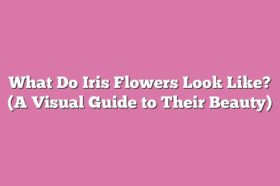 What Do Iris Flowers Look Like? (A Visual Guide to Their Beauty)