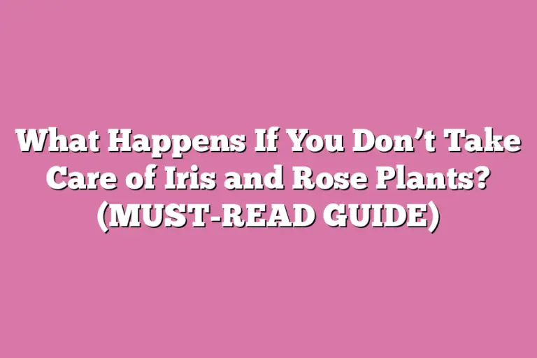 What Happens If You Don’t Take Care of Iris and Rose Plants? (MUSTREAD