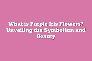 What is Purple Iris Flowers? Unveiling the Symbolism and Beauty ...