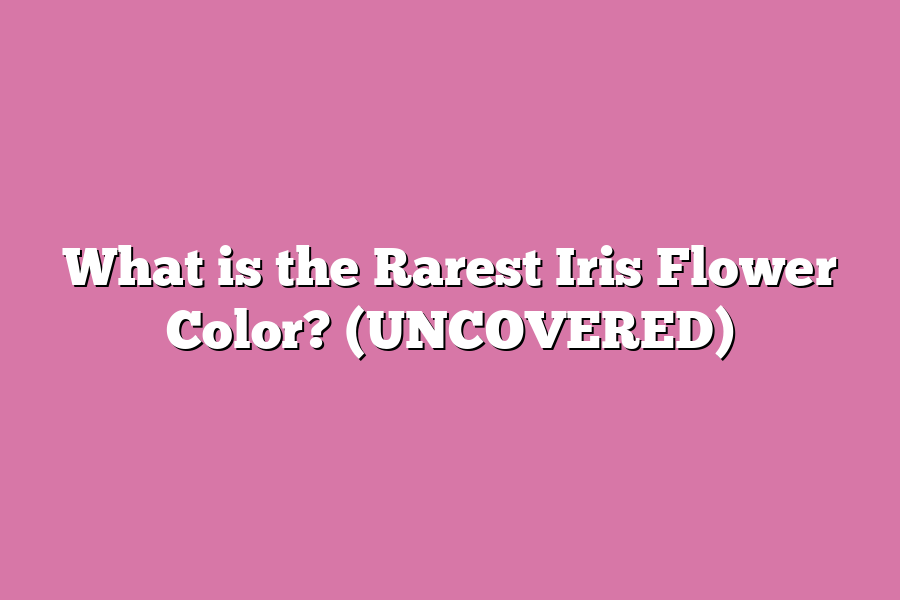 What is the Rarest Iris Flower Color? (UNCOVERED)