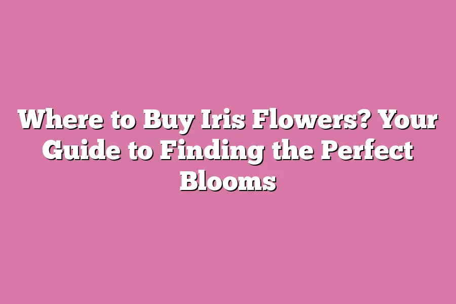 Where to Buy Iris Flowers? Your Guide to Finding the Perfect Blooms ...