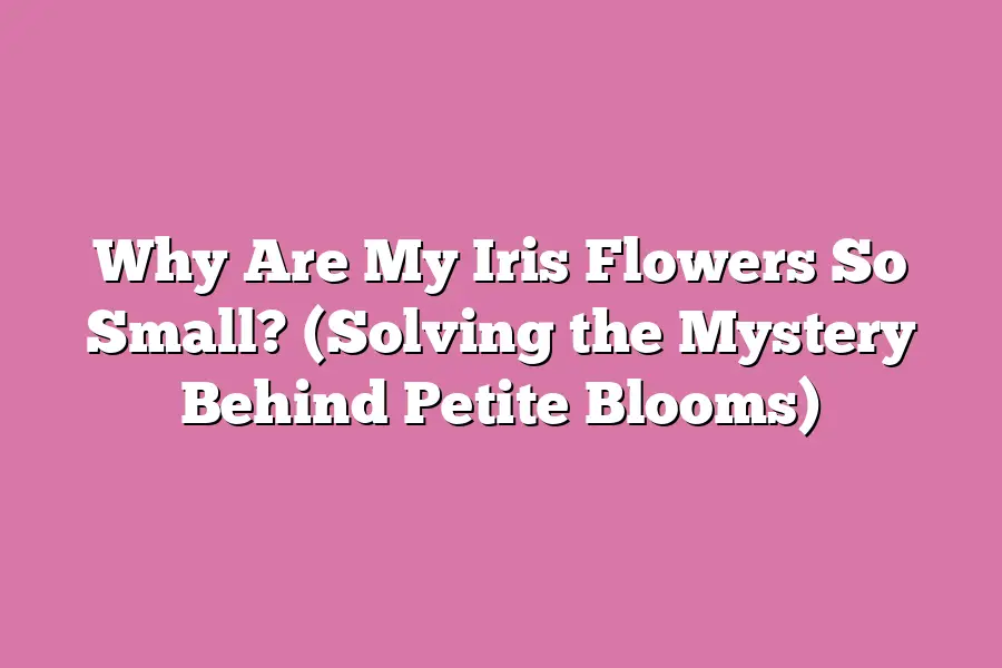 Why Are My Iris Flowers So Small? (Solving the Mystery Behind Petite ...