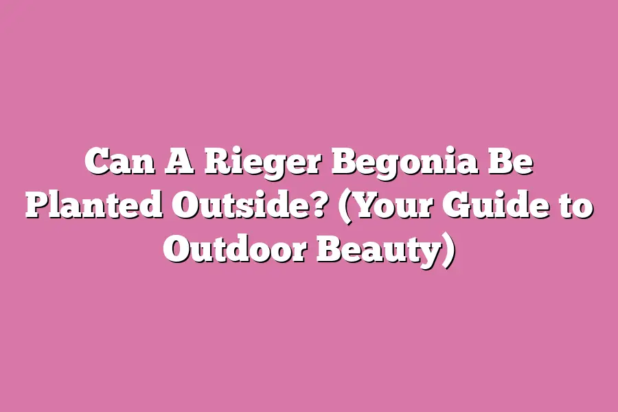 Can A Rieger Begonia Be Planted Outside? (Your Guide to Outdoor Beauty)