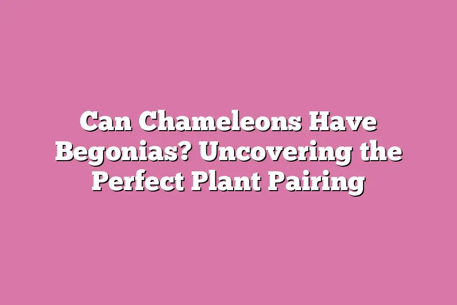 Can Chameleons Have Begonias? Uncovering the Perfect Plant Pairing
