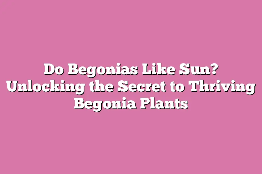Do Begonias Like Sun? Unlocking the Secret to Thriving Begonia Plants