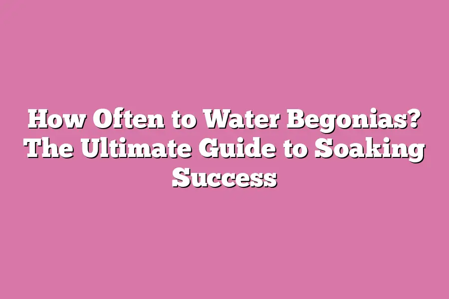 How Often to Water Begonias? The Ultimate Guide to Soaking Success