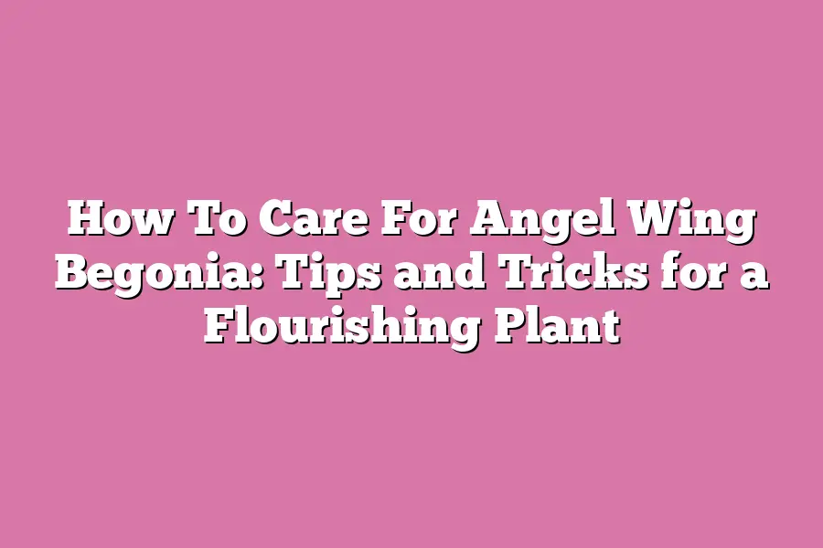 How To Care For Angel Wing Begonia: Tips and Tricks for a Flourishing Plant