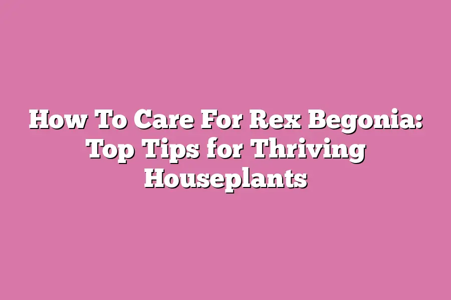 How To Care For Rex Begonia: Top Tips for Thriving Houseplants