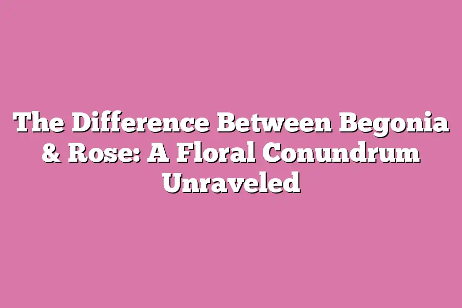 The Difference Between Begonia & Rose: A Floral Conundrum Unraveled