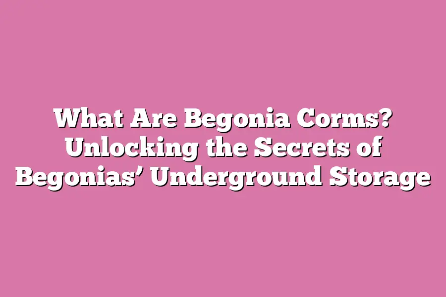 What Are Begonia Corms? Unlocking the Secrets of Begonias’ Underground Storage
