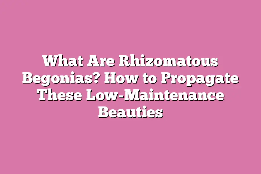 What Are Rhizomatous Begonias? How to Propagate These Low-Maintenance Beauties