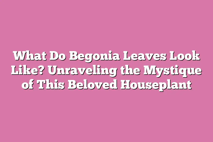 What Do Begonia Leaves Look Like? Unraveling the Mystique of This Beloved Houseplant