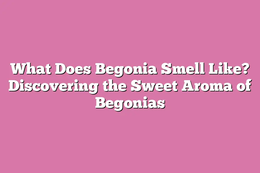 What Does Begonia Smell Like? Discovering the Sweet Aroma of Begonias