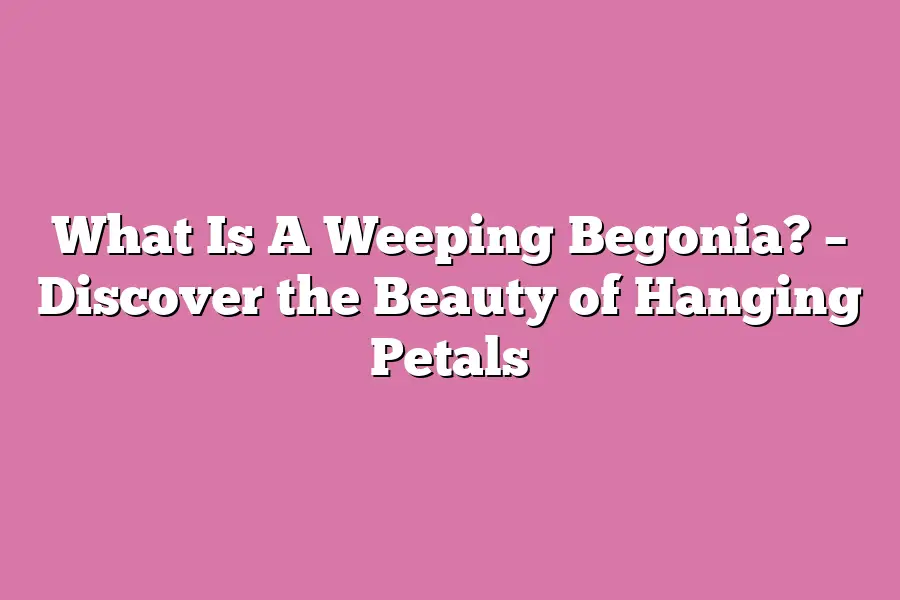 What Is A Weeping Begonia? – Discover the Beauty of Hanging Petals