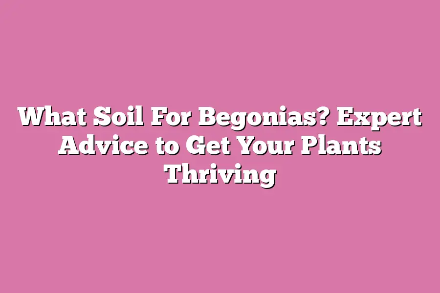 What Soil For Begonias? Expert Advice to Get Your Plants Thriving