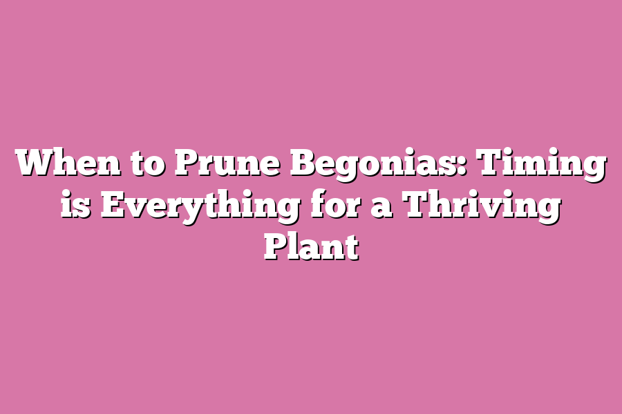 When to Prune Begonias: Timing is Everything for a Thriving Plant
